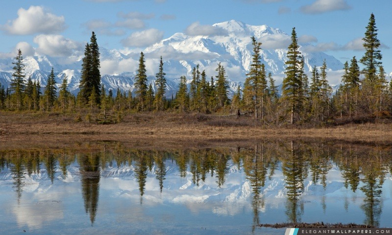 Mont McKinley, Denali National Park, Alaska, Arrière-plans HD à télécharger
