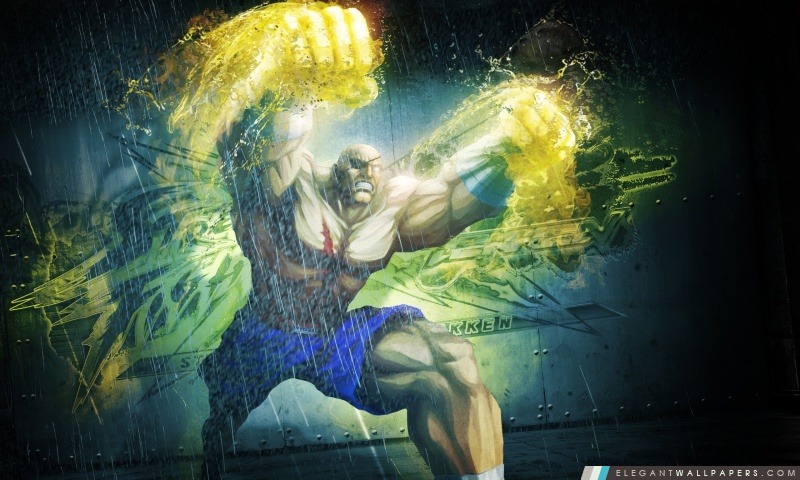 SAGAT dans Street Fighter, Arrière-plans HD à télécharger