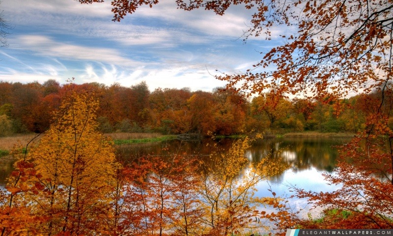 Forêt d'automne coloré reflétant dans le lac calme, Arrière-plans HD à télécharger