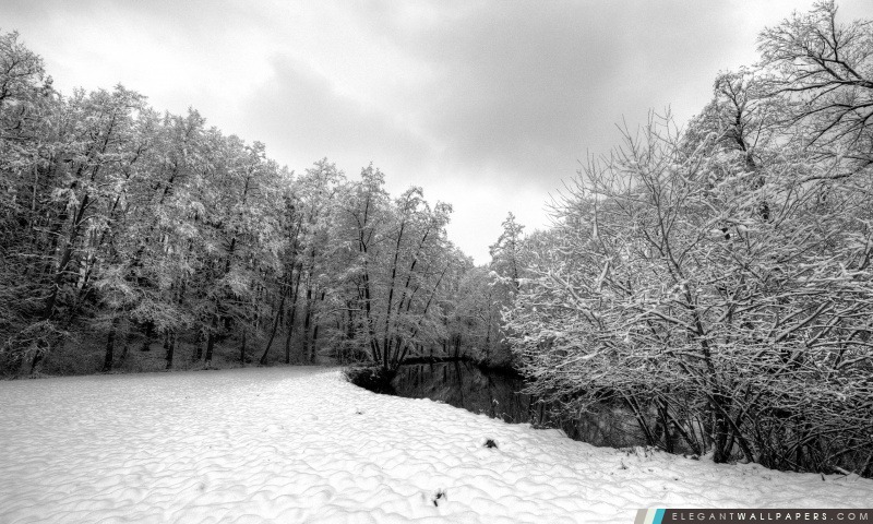 Forest River, hiver, Arrière-plans HD à télécharger