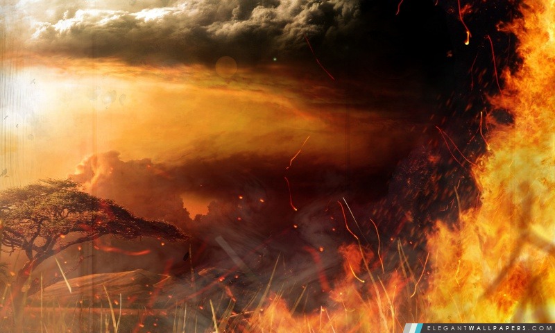 Far Cry Concept Art, Arrière-plans HD à télécharger