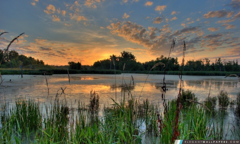 Lever de soleil sur un étang dans la Réserve faunique nationale de rivière du Minnesota, Arrière-plans HD à télécharger