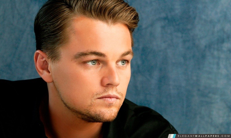 Leonardo DiCaprio Portrait, Arrière-plans HD à télécharger