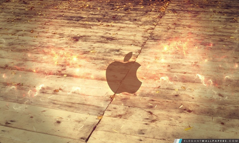 Logo d'Apple de plancher de bois, Arrière-plans HD à télécharger