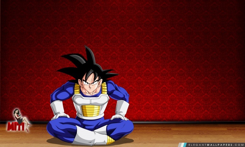 Goku dans la chambre, Arrière-plans HD à télécharger