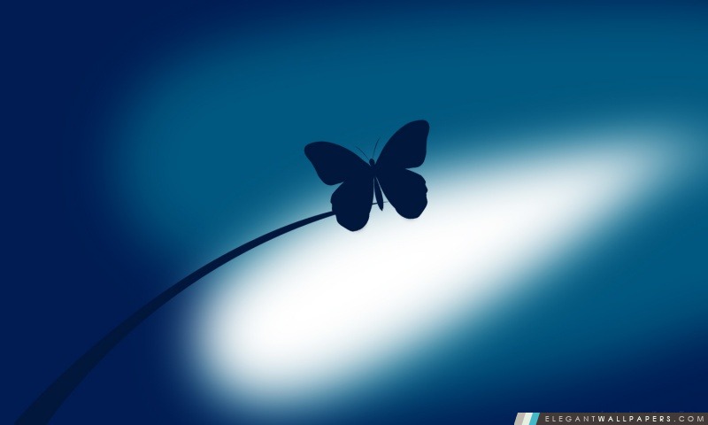 Blue Butterfly, Arrière-plans HD à télécharger