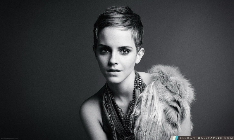Emma Watson New, Arrière-plans HD à télécharger