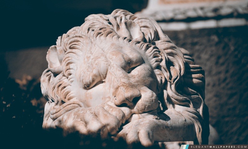 Sleeping Lion Sculpture, Arrière-plans HD à télécharger