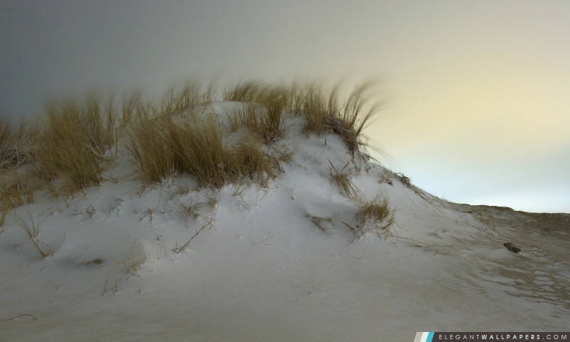 Dunes de neige à Hoek van Holland, Arrière-plans HD à télécharger