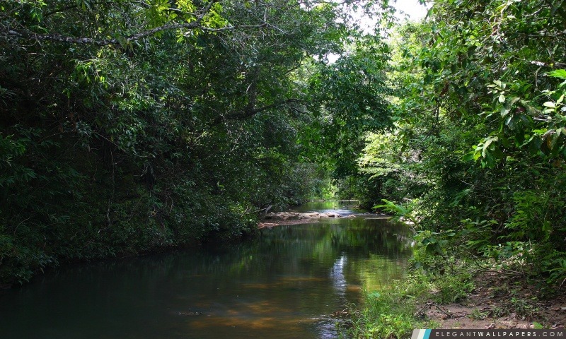 Córrego faire Escuro – Creek foncé, Arrière-plans HD à télécharger