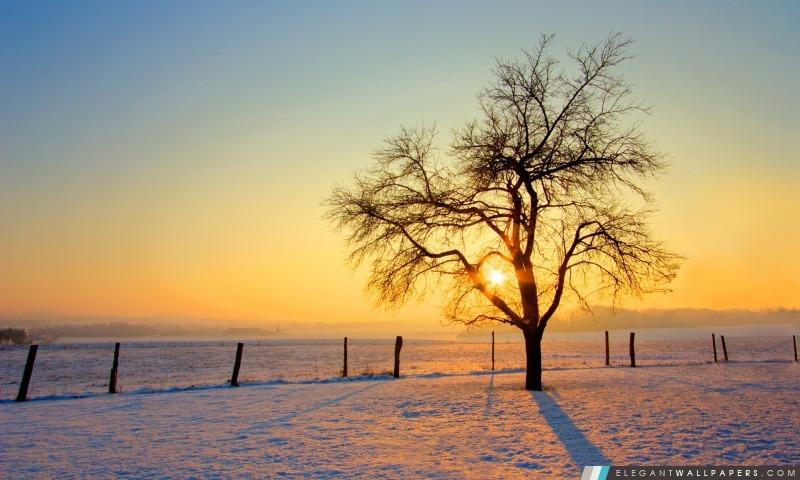 Winter Sunset, Arrière-plans HD à télécharger