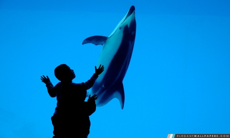 Enfants et un dauphin, Arrière-plans HD à télécharger