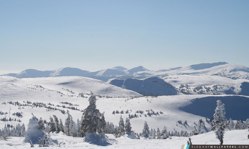 Arrière-pays de Powder King Ski Resort, Pine Pass, Colombie-Britannique, Canada, Arrière-plans HD à télécharger