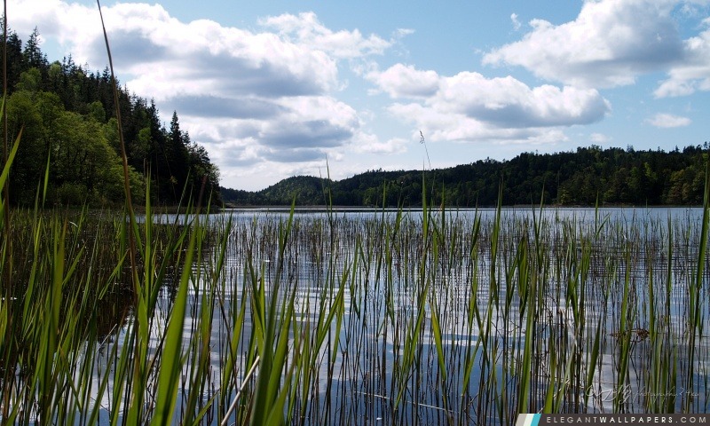 Lac Dans l'Est de la Suède, Arrière-plans HD à télécharger
