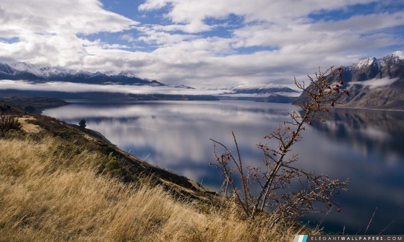 En Nouvelle-Zélande Lac, Arrière-plans HD à télécharger