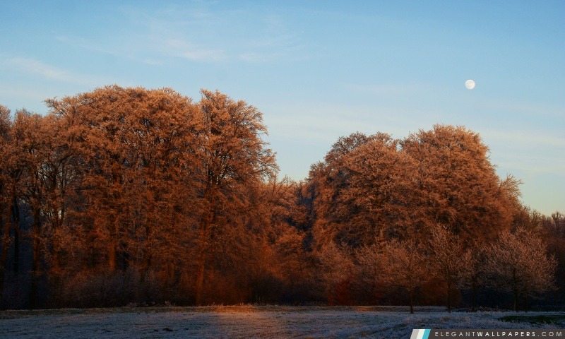 Winter Sunset, Utrecht, Arrière-plans HD à télécharger