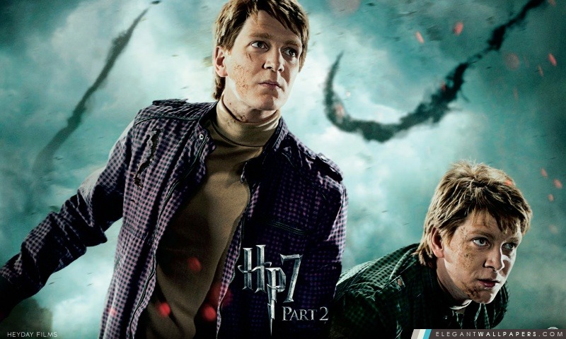 Harry Potter Et Les Reliques de la Mort Partie 2 Twins, Arrière-plans HD à télécharger