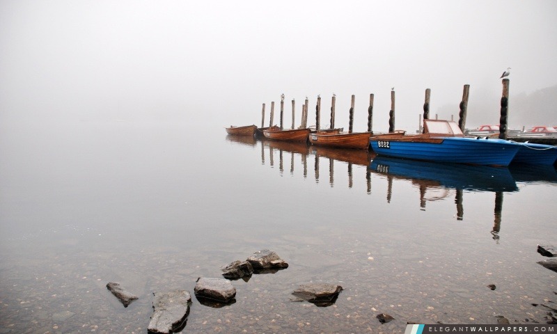 Brouillard sur le lac, Arrière-plans HD à télécharger