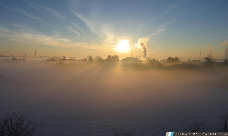 Tôt le matin de brouillard en hiver, Arrière-plans HD à télécharger