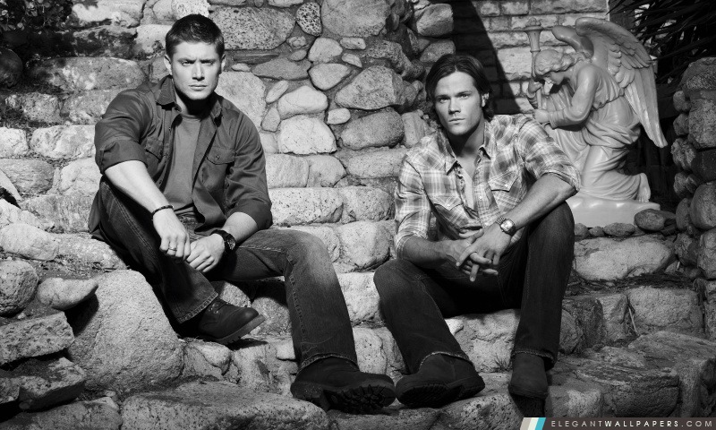 Jared et Jensen, Arrière-plans HD à télécharger