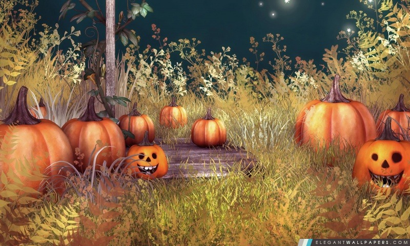 Halloween Pumpkins, Arrière-plans HD à télécharger