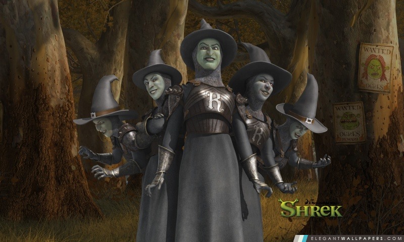 Sorcières, Shrek The Final Chapter, Arrière-plans HD à télécharger
