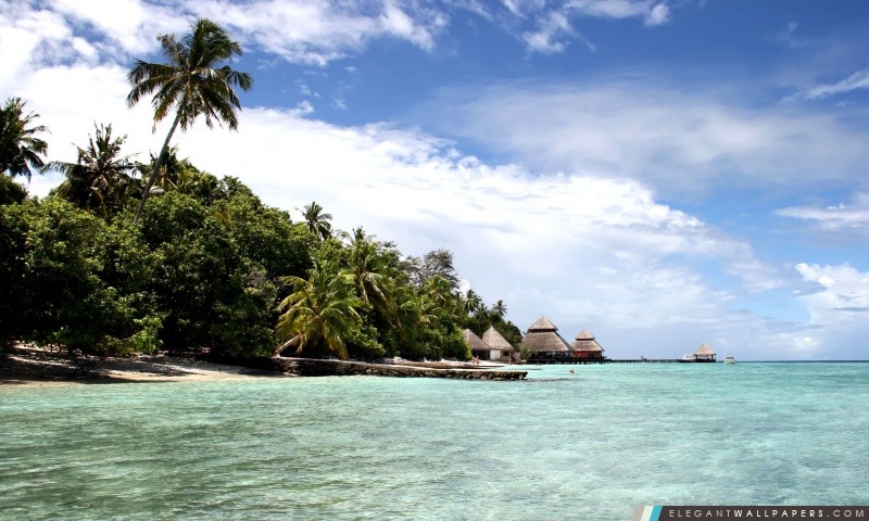 Tropical Island, Arrière-plans HD à télécharger