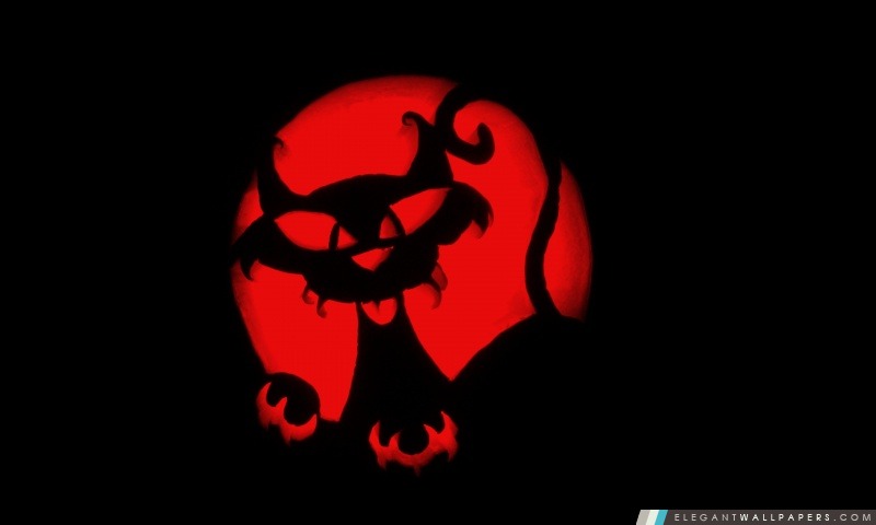 Happy Halloween (citrouille de chat Carving), Arrière-plans HD à télécharger