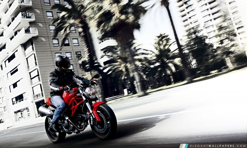 2008 Ducati Monster 696 1, Arrière-plans HD à télécharger