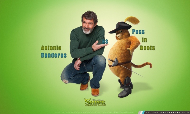 Antonio Banderas comme Puss in Boots, Shrek Forever After, Arrière-plans HD à télécharger