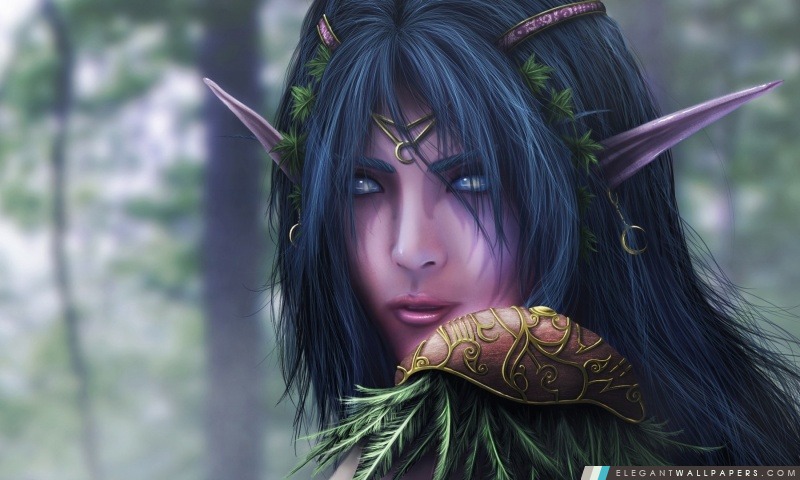 World Of Warcraft Elf, Arrière-plans HD à télécharger