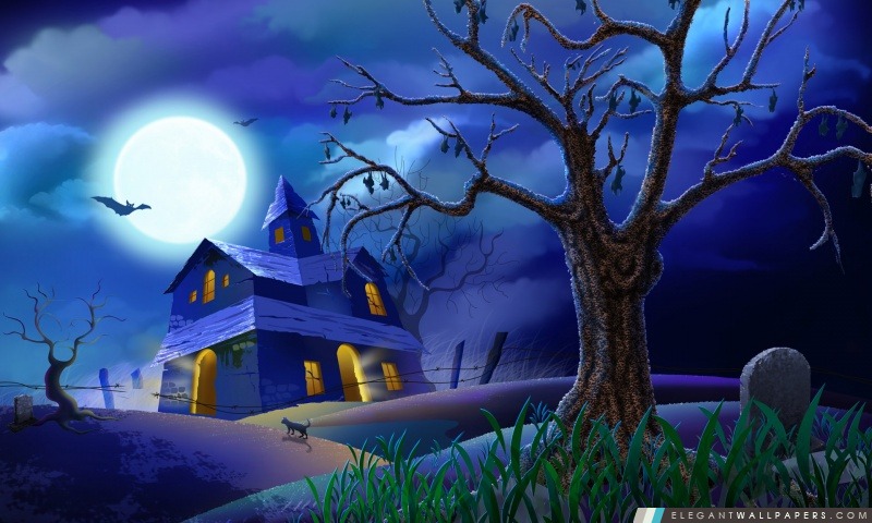 Bats maison fantasmagorique Chat nuit de pleine lune Hallowmas Halloween, Arrière-plans HD à télécharger