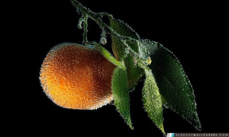 Tangerine Fruit Sous, Arrière-plans HD à télécharger