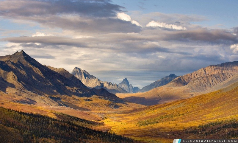 Klondike River Valley, le parc territorial Tombstone, Yukon, Canada, Arrière-plans HD à télécharger