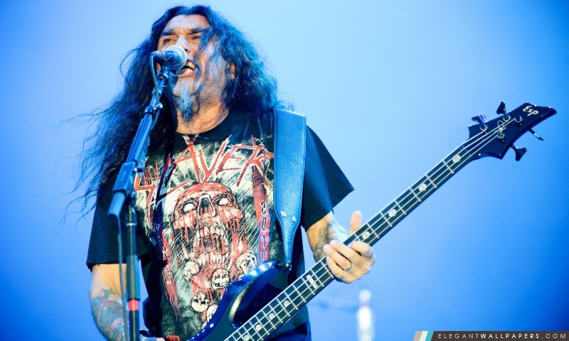 Slayer en concert, Arrière-plans HD à télécharger