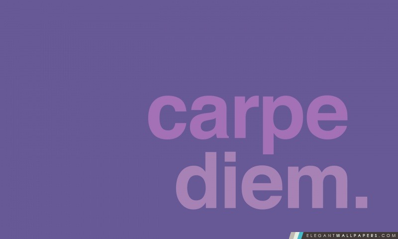Carpe Diem, Arrière-plans HD à télécharger