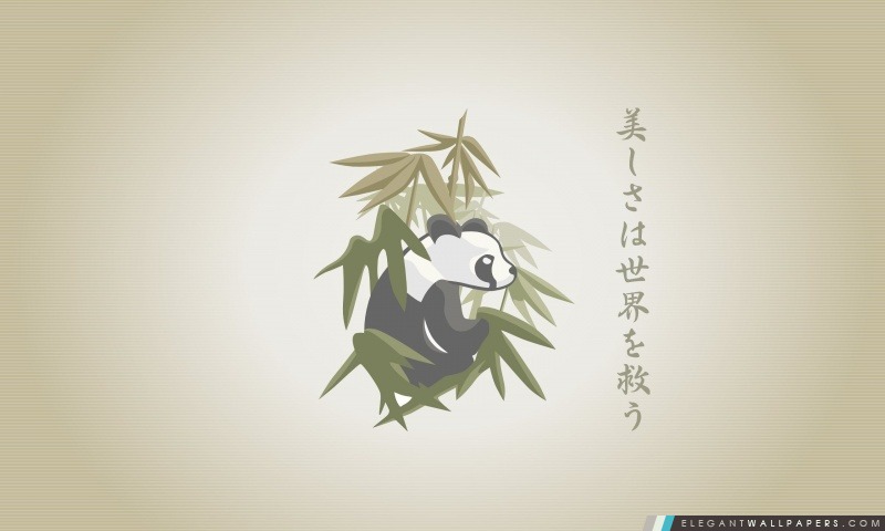 Dessin de panda, Arrière-plans HD à télécharger