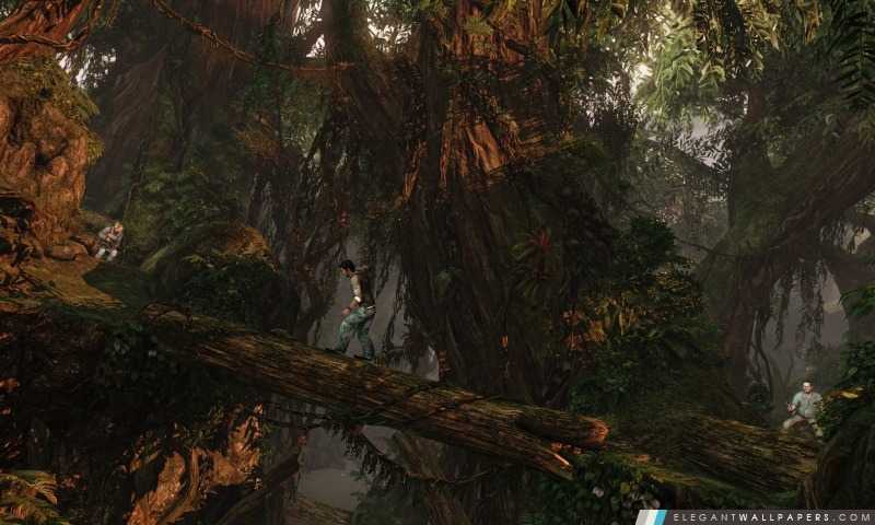 Uncharted 2 Among Thieves, Arrière-plans HD à télécharger