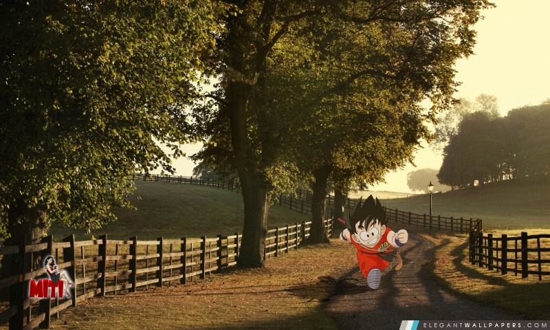 Goku Sunset, Arrière-plans HD à télécharger