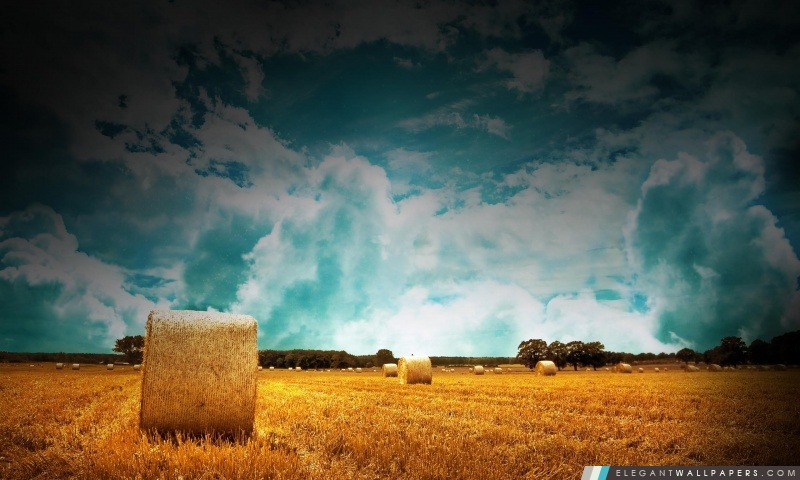 Des balles de paille sur les terres agricoles avec bleu ciel nuageux, Arrière-plans HD à télécharger