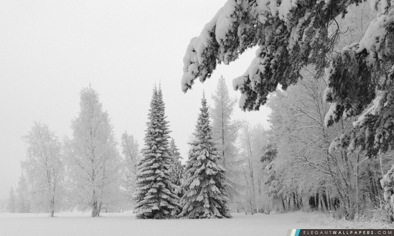 Joli paysage d'hiver, Arrière-plans HD à télécharger