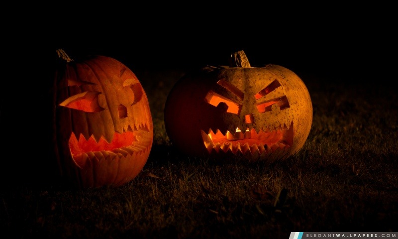 Halloween Pumpkins sculptés, Arrière-plans HD à télécharger