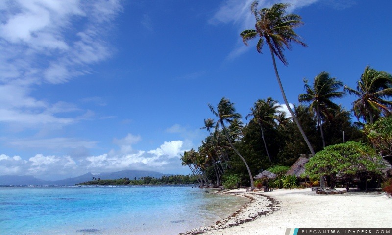 Polynésien, Arrière-plans HD à télécharger