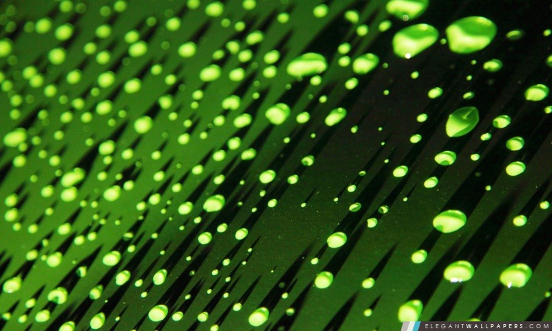 Verts de gouttelettes d'eau, Arrière-plans HD à télécharger