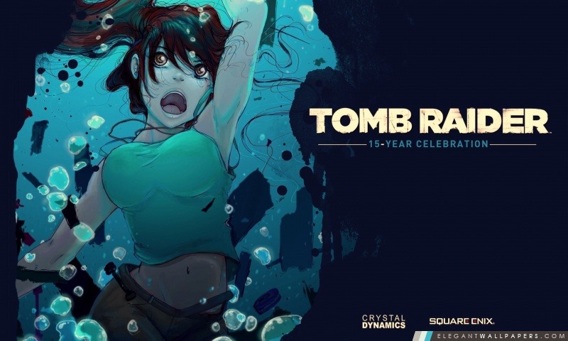 Tomb Raider 15 année de la célébration, Arrière-plans HD à télécharger