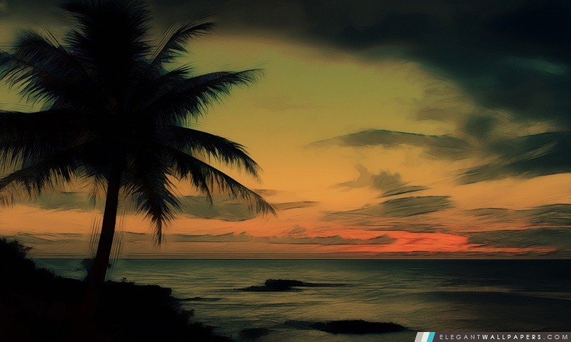 Palmier environs de Ocean, Arrière-plans HD à télécharger