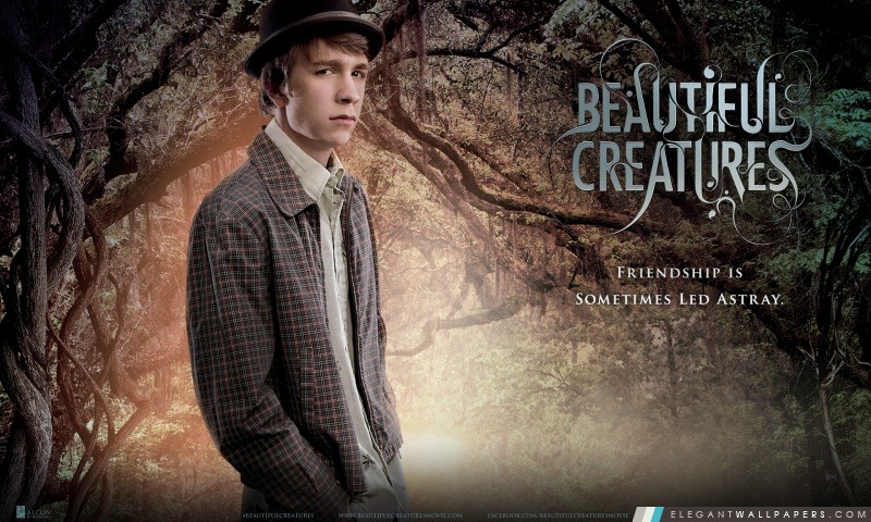 Beautiful Creatures – Lien, Arrière-plans HD à télécharger