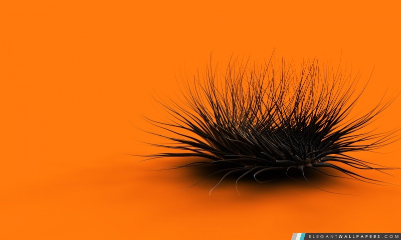 Créature étrange orange, Arrière-plans HD à télécharger
