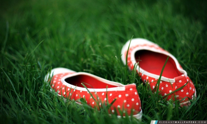 Chaussures rouges dans l'herbe verte, Arrière-plans HD à télécharger