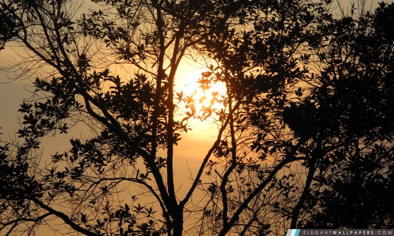Lever de soleil au Mont. Lembing, Malaisie., Arrière-plans HD à télécharger